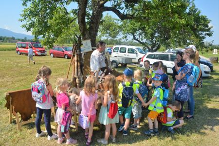 Srednjeveski dan Gutenwerd 2023 11 foto  Emil Turk